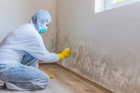 Best Attic Mold Removal  in Elmore, AL